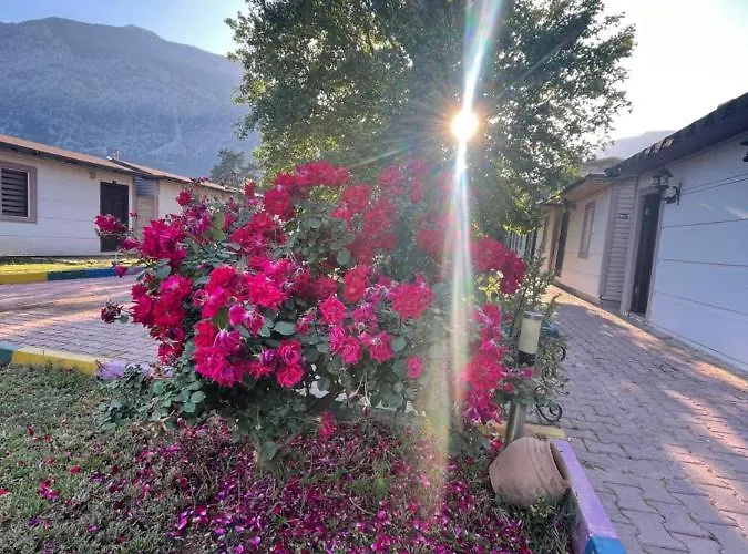 Hotel Ipsos Beldibi 3*