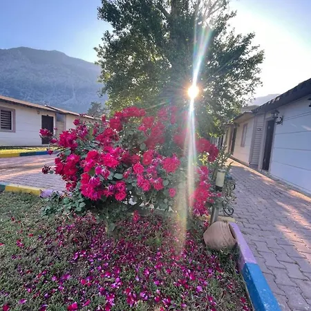 Hotel Ipsos Beldibi 3*